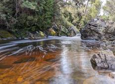 Wild West 4 - Viertägige Rundreise durch Tasmanien Rundreise