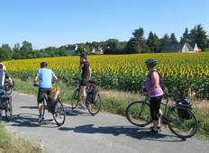 Fietstocht, Loirevallei, Frankrijk (groepen met gids)-rondreis