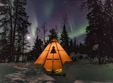 Noorderlicht & wilde dieren in Zweeds Lapland, 7 nachten-rondreis