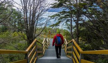 Treasures of Patagonia