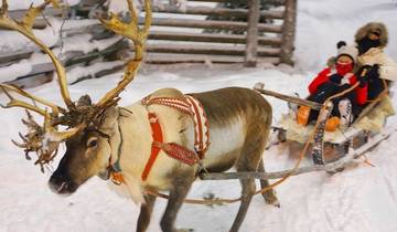 Christmas in Finland - 6 Days Tour