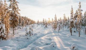 New Year\'s in Finland - 7 Days Tour