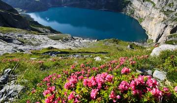 Classic Swiss Alps Walk