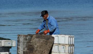 Amazing Days in Ilulissat - 5 Days