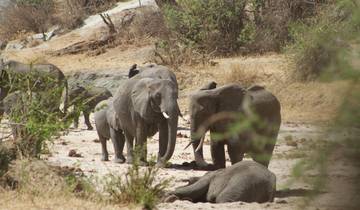 8 jours de safari dans le nord de la Tanzanie circuit