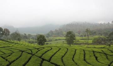 21 Day Indonesia Itinerary, incl. Jakarta and Bali