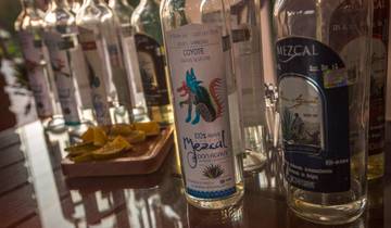 14 Days in Mexico, incl. Mexico City and Playa del Carmen