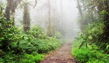 Arenal Volcano & Monteverde Cloud Forest Costa Rica, the perfect combination Tour