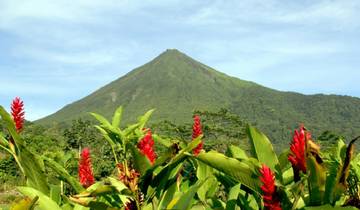 10 Days in Costa Rica, incl. Tortuguero and Arenal