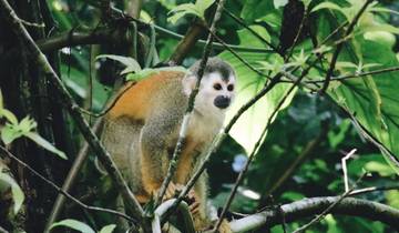 10 Days in Costa Rica, incl. Arenal and Tamarindo