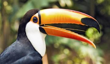 10 Days in Costa Rica, incl. Arenal and Tamarindo