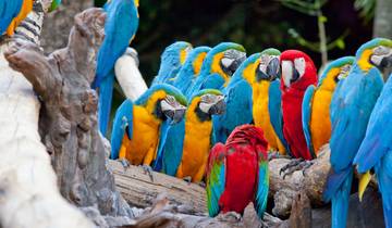 10 Days in Costa Rica, incl. Arenal and Tamarindo