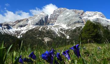 Walks in the Italian Dolomites Tour