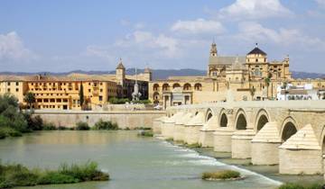 Special Package: Madrid plus Andalusia and the Mediterranean Coast with Barcelona from Madrid Tour