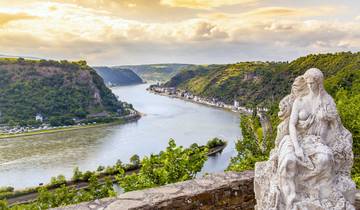 New Year on the Wild Rhine (port-to-port cruise)