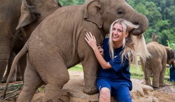 Thailand – The Elephant Experience