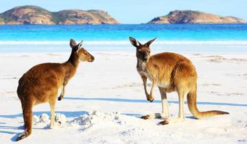 Australia – Beachside Wildlife Adventure Tour