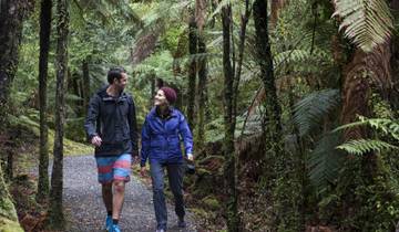 7 Day New Zealand North Island Itinerary, incl. Auckland and Rotorua