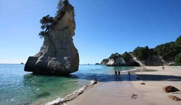 7 Day New Zealand North Island Itinerary, incl. Auckland and Rotorua