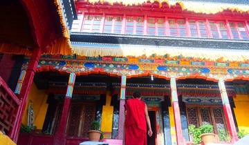 7 Days in Ladakh, incl. Leh and Pangong Lake
