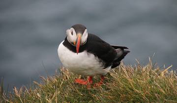 The Great Round Tour: Around Iceland in 13 days