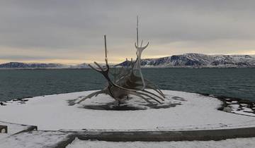 Glaciers and Aurora Tour: Around Iceland in Winter Tour