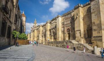 Madrid, Andalusia and Toledo Special Package from Madrid 8 Days Tour