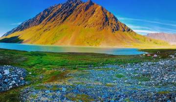 Camp de base des monts Kenai et des glaciers