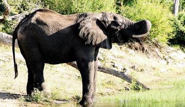 9-day Victoria Falls & Okavango Wilderness Trail (Accommodated) Tour