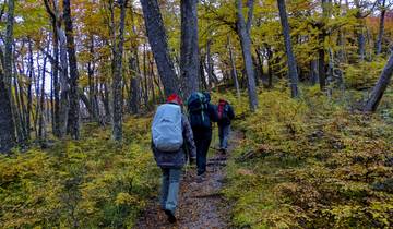 16 Days in Patagonia, incl. El Calafate and Torres del Paine