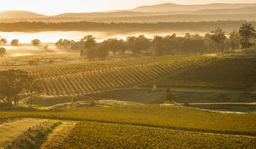 Sydney to Brisbane Adventure