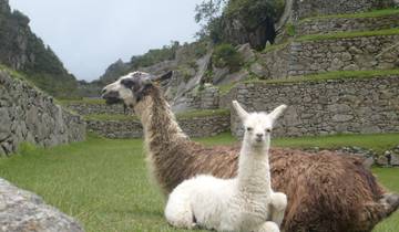 10 Days in Peru, incl. Lima and Machu Picchu
