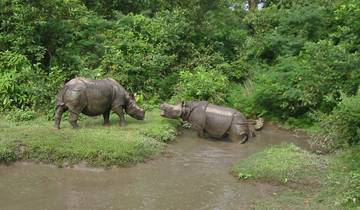 Nepal Wildlife Safari and Rafting Tour