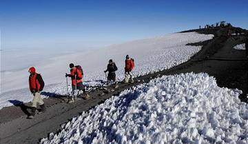 8 Days - Mount Kilimanjaro Climbing - Lemosho route