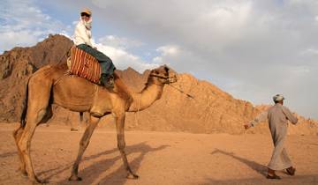 7-Day Best of Egypt Tour with 3 nights Nile Cruise Tour