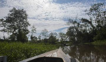 2-Day Iquitos Jungle Tour at Maniti Eco-Lodge