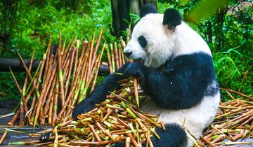 14 Day China Itinerary, incl. Beijing and Shanghai