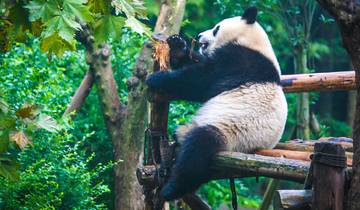 14 Day China Itinerary, incl. Beijing and Shanghai