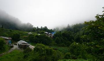 Ghorepani Poon Hill Trek