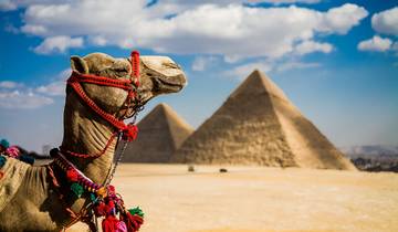 Cairo, Luxor & Aswan with Nile Cruise 8 Days Holiday Tour
