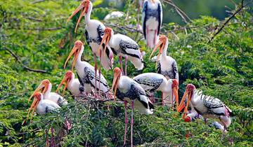 Golden Triangle Tour with Bharatpur Bird Sanctuary Tour