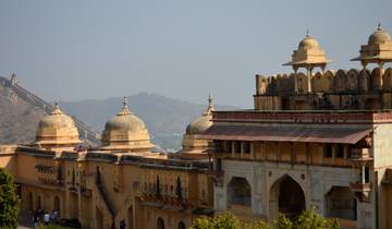 Golden triangle, Bengal Tiger  and beyond .