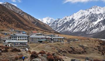 Trek dans la vallée du Langtang