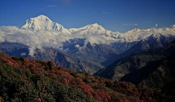 Ghorepani Poon Hill Trekking Tour