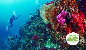 Snorkeling & Scuba Diving Tours, Travel & Trips
