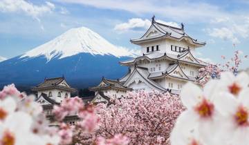 7-Day Japan Delight: Tokyo, Mt. Fuji, Kyoto