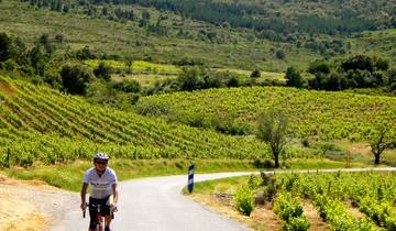 Bicycling Provence to the Pyrenees Plus! Tour