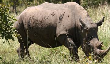 15 days Uganda Wildlife and Activity Holiday Tour