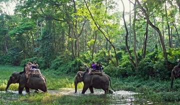 Chitwan Pakket Tour- 2 Nachten 3 Dagen