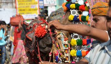 Explorer la tradition : La foire de Pushkar et l'aventure du Triangle d'Or !